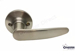 Maniquí de níquel satinado cepillado Manija de palanca de la puerta Mano derecha o izquierda - Imagen 1 de 2