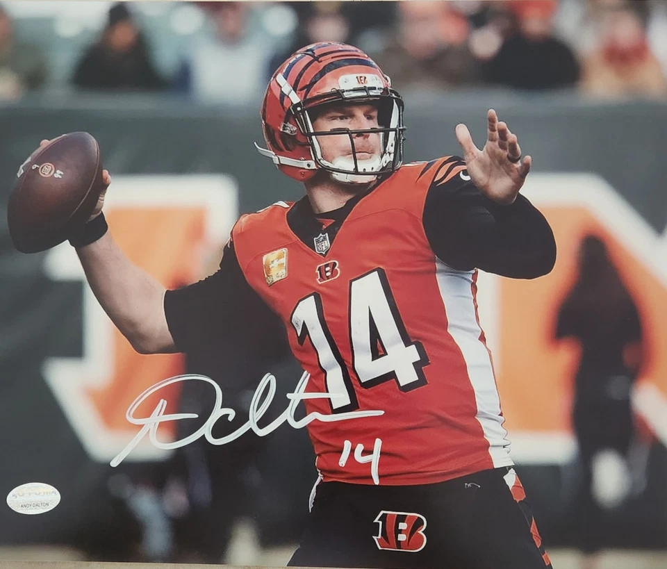 Andy Dalton Cincinnati Bengals autografado 8x10 com certificação - Imagem 1 de 2