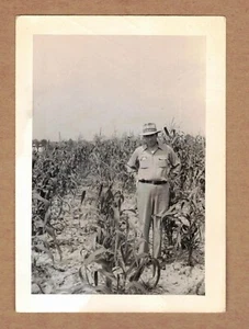 Foto de 1942 de un hombre de pie en un campo de maíz de aspecto triste - Imagen 1 de 2