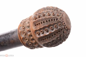 ✅ ANTIQUE CANE WALKING STICK SWAGGER SEA URCHIN MOTIF WOOD POMMEL KNOB  - Picture 1 of 8