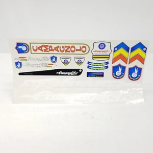Set Adesivi Decalcomanie Campagnolo Bici Ciclismo Blu Rosso Bianco Telaio Italia - Foto 1 di 8