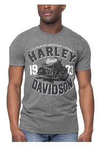Harley-Davidson Men's Bench Motorcycle Crew-Neck Short Sleeve Tee, Gray - Picture 1 of 2