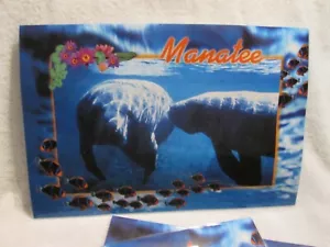 Florida Manatee Plastic Laminated Placemats Reversible New Old Stock Set Of 4 - Picture 1 of 3