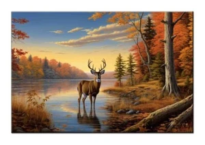 Whitetail Deer by the Lake in Autumn Forest Morning Light-Wall Decor-Fun Gift - Picture 1 of 10