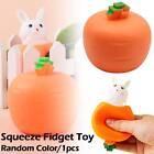 Squeeze Spielzeug Karotte Puppe Kaninchen Tasse Antistress Dekompression Spiel für Kinder S5Q3