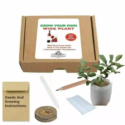GADGETCKING WINE PLANT GIFT FOR MUM SISTER FRIEND GIRLFRIEND WOMENS LADIES SECRET SANTA IDE