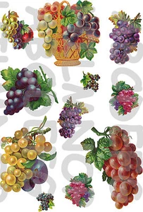 11 ADESIVI GRAPPOLI UVA FRUTTA GRAPES STICKERS IMPERMEABILI PIASTRELLE CUCINA - Bild 1 von 1