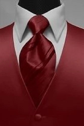 Brand New Luxury Premiere Tuxedo Vest & Striped Necktie - Image 1 of 1