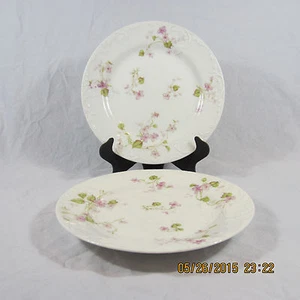 Limoges Haviland Dessert Brot Butter Teller 2er Set Rosa Lila Blume Grün Blatt - Bild 1 von 9