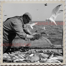 50s GLOUCESTER HARBOR ESSEX MASSACHUSETTS FISHERMAN SEAGULL OLD USA Photo 9034