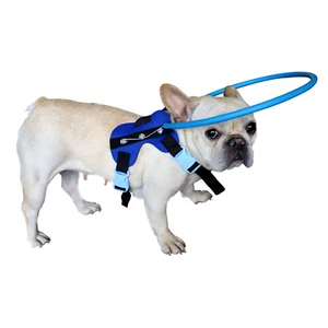 HQSLC Blinde Hundegeschirr Führungsgerät Blinder Hund Heiligenschein Haustier Antikollision Medium - Bild 1 von 2