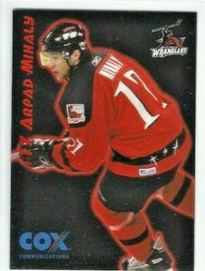 2006-07 Las Vegas Wranglers (ECHL) Arpad Mihaly