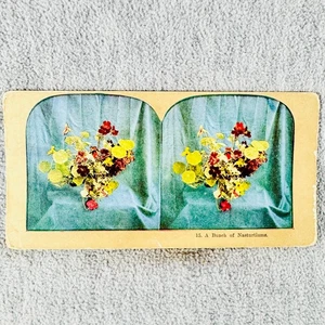 A Bunch of Nasturtiums Floral Scene Antique Colored Stereoview Card - Picture 1 of 3