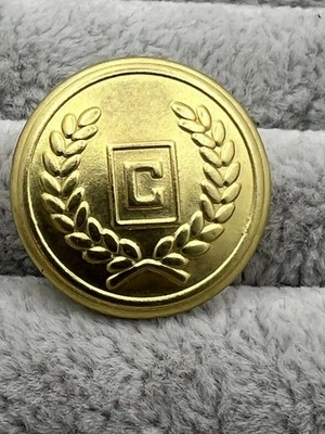 Replacement Bright Gold Ralph Lauren Chaps Jacket Blazer Buttons Set 10 Shanks - Image 1 of 4