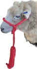 SHEEP HALTER ADJUSTABLE MADE IN THE UK RED BLACK NAVY FREE POST