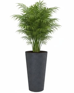 Scheurich Blumenkübel Coneo High Verschiedene Größen Schwarz oder Terracotta - Bild 1 von 17