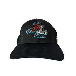 New Era Beloit Sky Carp 39 Thirty M/L Sombrero Ligas Menores Béisbol - Imagen 1 de 8