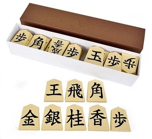 Juego de imanes Shogi para enseñanza, incluye caja de almacenamiento, usados, 2 kg AAK - Imagen 1 de 1