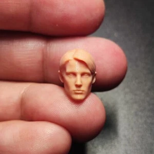 1:18 Maria Hill Cobie Smulders Head Sculpt For 3.75" Female Action Figure Body - Picture 1 of 6