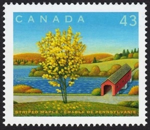 CANADA DAY * STRIPED MAPLE = Canada 1994 #1524d MNH from Pane - Bild 1 von 1