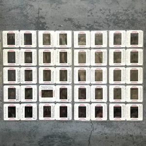 40pc, Color Slides Hollywood Star Ian Ziering Beverly Hills 1992 paparazzi-style - Picture 1 of 9