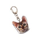 Acrylic Cat Mobile Phone Chain Cartoon Animal Cat Pendant  Lady Girls Gift
