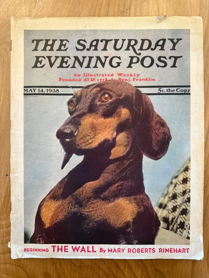 The Saturday Evening Post Magazine  May 14 1938 Dog Cover - Image 1 of 3