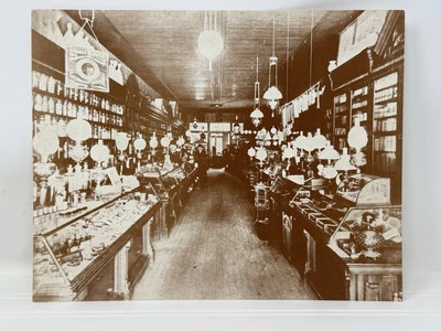 Fotografía con impresión de póster vintage en tono sepia 14"x11" - jarabe alemán flor agosto Foto 1 de 4