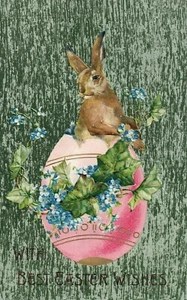 With Best Easter Wishes Bunny In Easter Egg with Flowers Vintage Easter Postcard - Picture 1 of 2