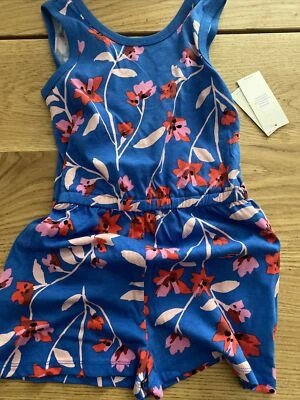 tea collection 7 Foto 1 de 4