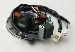 6 Coil Magneto Stator 2 Plug ZongShen 110 125cc Kick Start Engine Dirt  Bike 10 - Picture 1 of 4