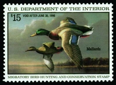 RW62 — 1995 Mallard Grade 95 XF-Superb NH - Image 1 of 2