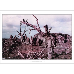 WWI Anzac Ridge 1917 Art Print – Australians at Battle of Ypres – 3 sizes Poster - Picture 1 of 6