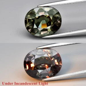CERTIFICATE Incl.*Big! 5.01ct VVS Oval Natural Color Change Garnet, Amazing - Picture 1 of 7