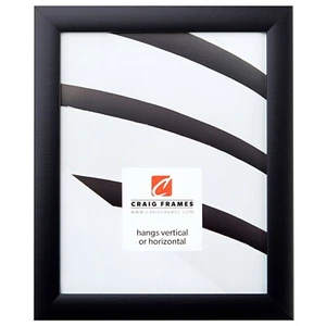 Craig Frames Contemporary, 8x10 1 Inch Wide Gallery Black Picture Frame - Picture 1 of 8