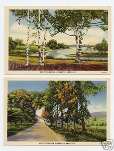 Lote de 2 postales de lino color saludos desde Ainsworth, Nebraska - Imagen 1 de 2