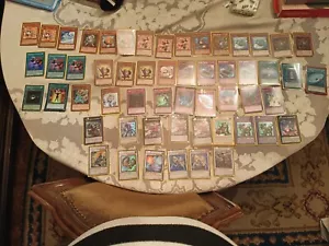 YuGiOh deck Naturia Racoon Beast - Picture 1 of 1