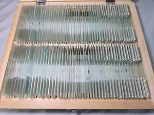 AmScope 100 diapositive in vetro per microscopio predisposte per PC - PS100E - Foto 1 di 6
