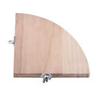 Incoconu Maine Rat Mouse Chinchilla Easily Install A Wooden Fan-shaped Safety