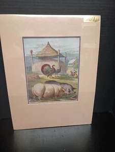 Antique chromolithograph showing pigs and turkeys. This charming print comes... - Picture 1 of 7
