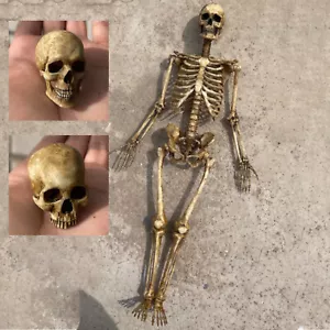 1/6 Scale Human Beings Skeleton PVC Model for 12" Action Figure Accessory Toy - Picture 1 of 18