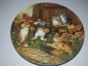 Collector's plate - wall plate - adventure on velvet paws - the gymnastics lesson - Picture 1 of 3