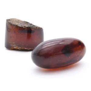 Amber Polished - Picture 1 of 5