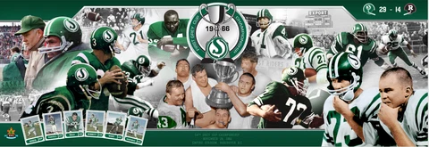 Saskatchewan Roughriders 1966 Grey Cup Champions Panoramic Poster 10x30" Cover