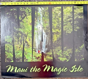 Vintage Maui Hawaii Poster The Magic Isle 28" x 24 Hawaiian Waterfall Rainforest - Picture 1 of 6