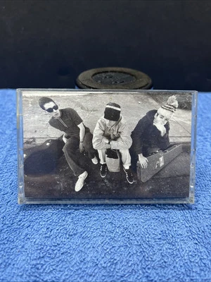 Beastie Boys Check Your Head Cassette  Hip Hop Rap *RARE* Tested - Image 1 of 4
