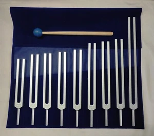9 Pc Chakra Tuning fork including Earth Star + Mallet for Sound Therapy - Picture 1 of 2