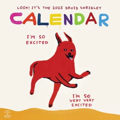 BRAINBOX CANDY Official David Shrigley 2025 Calendar Exclusive Contemporary Wall Art Prints