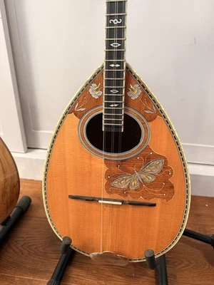 bouzouki grec - Photo 1/4