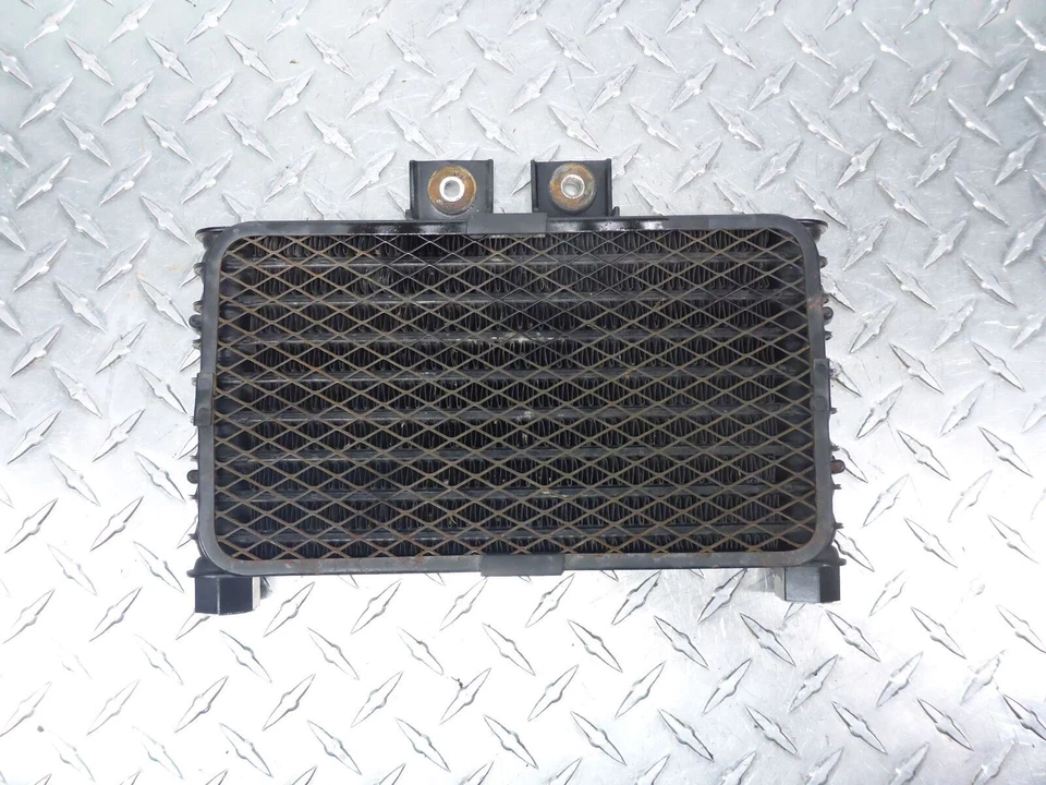 Hyosung Comet GT250 GT 250 Engine Motor Oil Cooler Foto 1 de 4